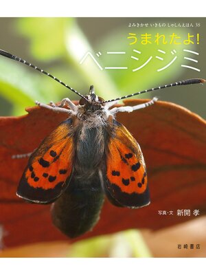 cover image of うまれたよ!ベニシジミ